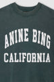 Miles Sweatshirt Anine Bing in Washed Sage
