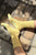 Ballet Socks Pale Yellow