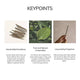 Palo Santo Incense Sticks – 30 Mini Hand-Rolled Sticks from Peru (4.2")