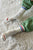 EXTENDED Boyfriend Socks Milk