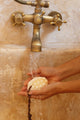 Palo Santo + Shea Butter Bar Soap