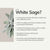 Organic White Sage Smudge Stick