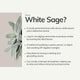 Organic White Sage Smudge Stick