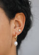 Seashell - Earring
