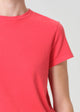 Adine Shrunken Tee Carnival