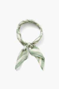 Printed Bordered Scarf in Sage