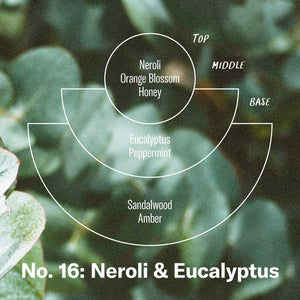 Neroli & Eucalyptus Concentrated Large Soy Candle