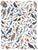 Birds Of Western North America 1,000 Piece Puzzle