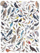 Birds Of Western North America 1,000 Piece Puzzle