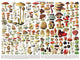 Mushrooms-Champignons 1,000 Piece Puzzle