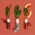 Lip Balm, Blood Orange Mint