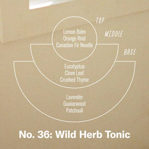 Wild Herb Tonic - 3.5 oz Reed Diffuser: 3.5 oz