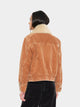 Bradley Jacket Camel